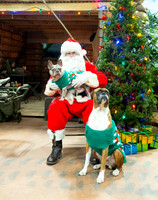 IMM SANTA 2025 020