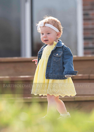 Opal one year028