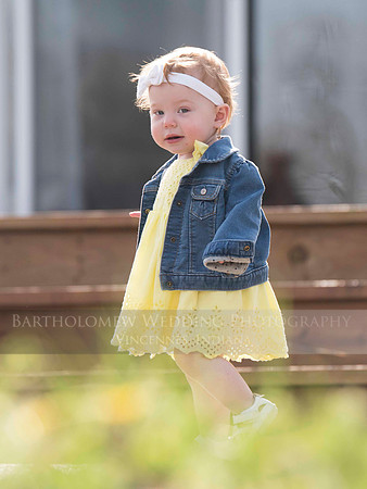 Opal one year029