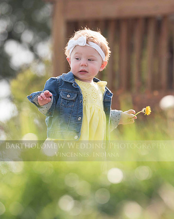 Opal one year030