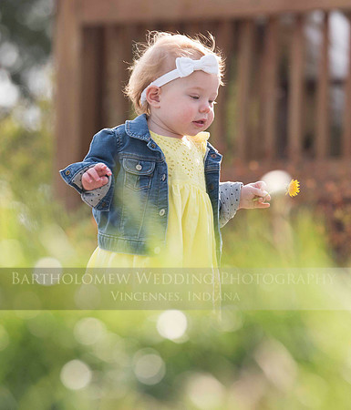 Opal one year031