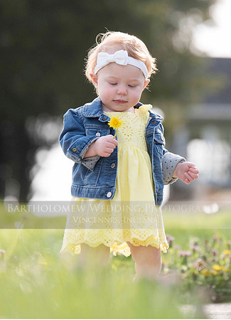 Opal one year033