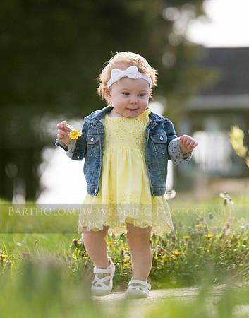 Opal one year034