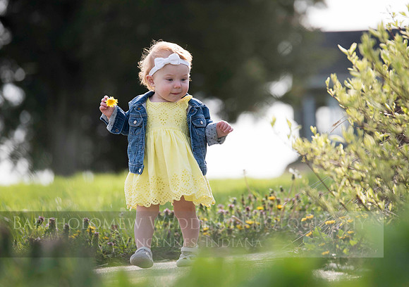 Opal one year035