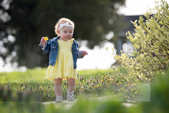 Opal one year036
