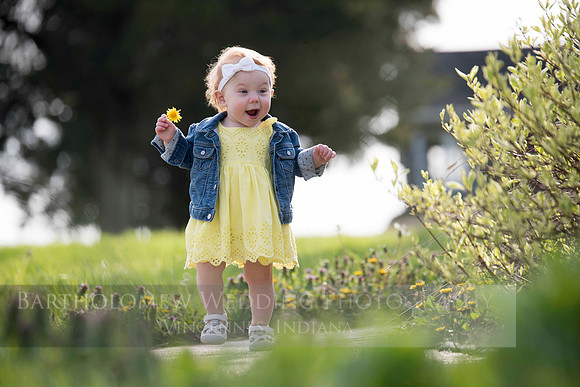Opal one year037