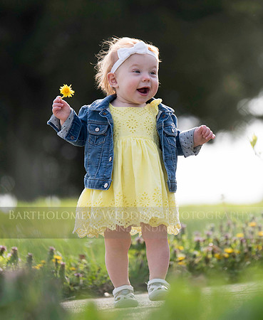 Opal one year038