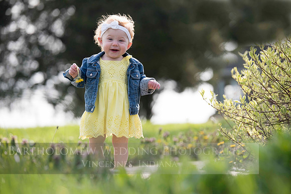 Opal one year039