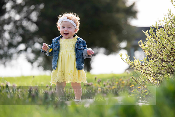 Opal one year040