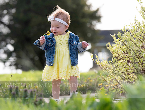 Opal one year041