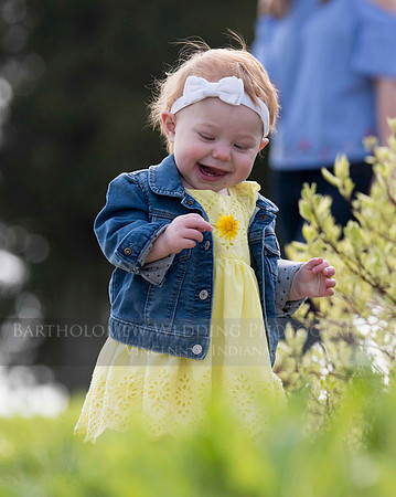 Opal one year042