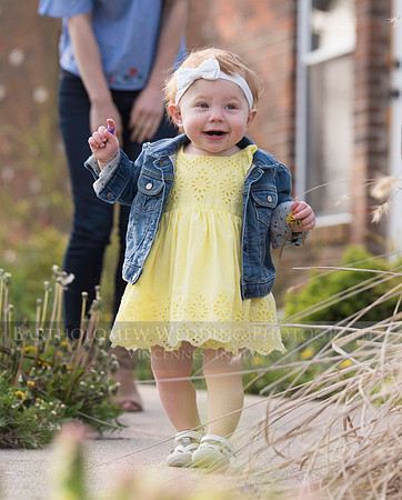 Opal one year044