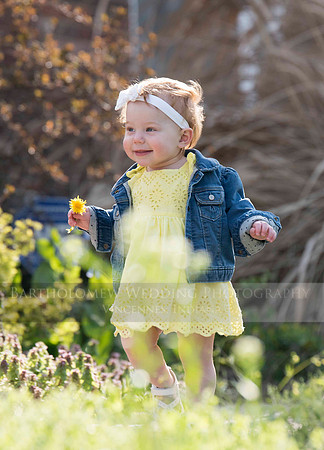 Opal one year049