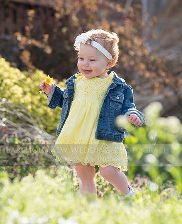 Opal one year050