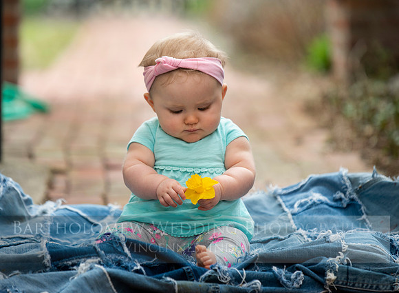 Nora 8-031