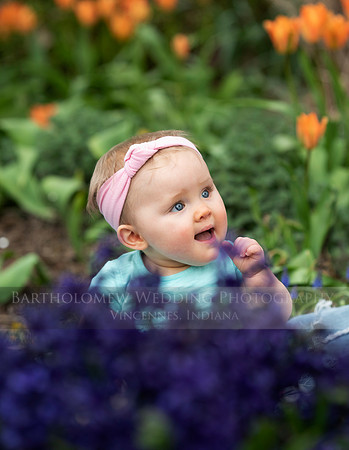 Nora 8-046