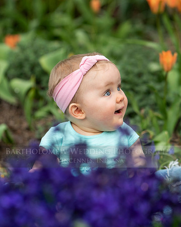 Nora 8-048
