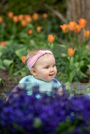 Nora 8-050