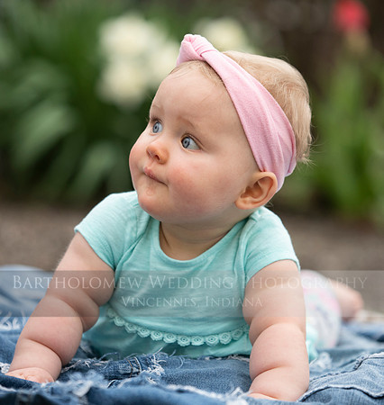 Nora 8-016