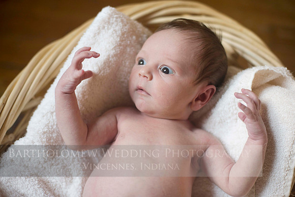 Logan030