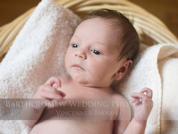 Logan031