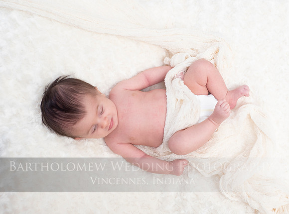 Eleanor008