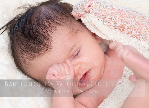 Eleanor016