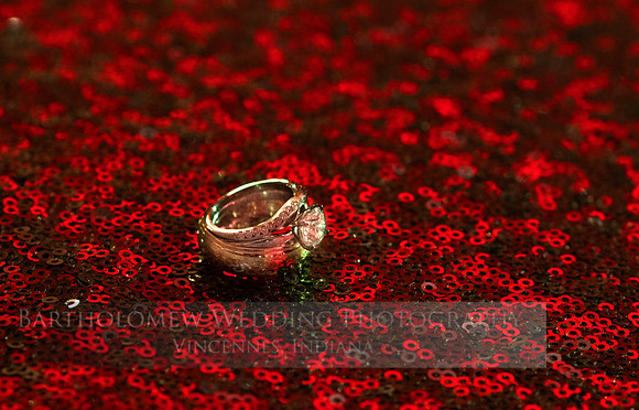 Lauren and Tanner291