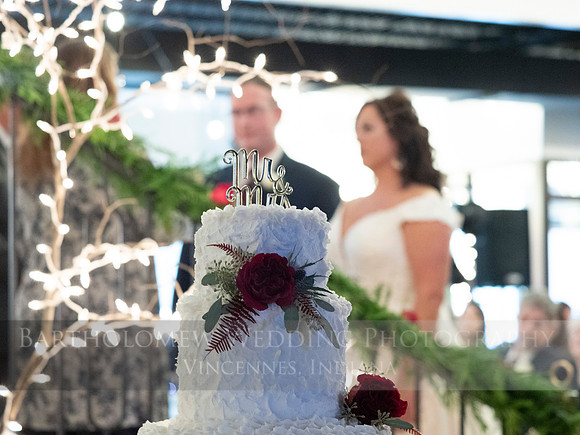 Renee and Joe's wedding188
