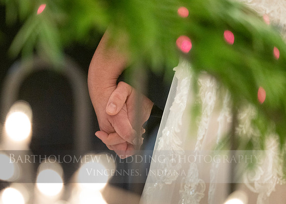 Renee and Joe's wedding195