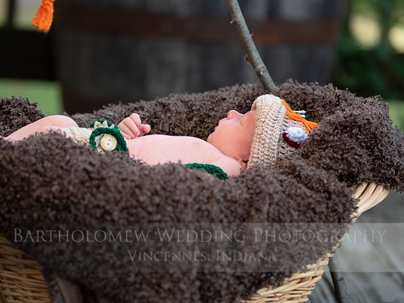 Earley005