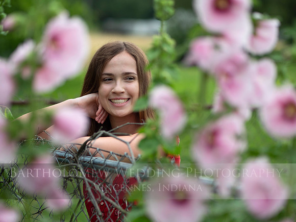 Cecelia003